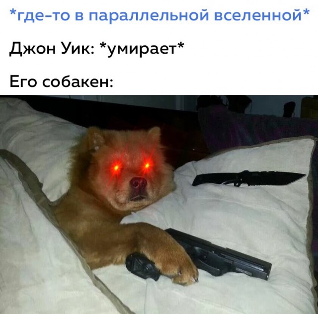 Всяческие картинки 08.11.2021