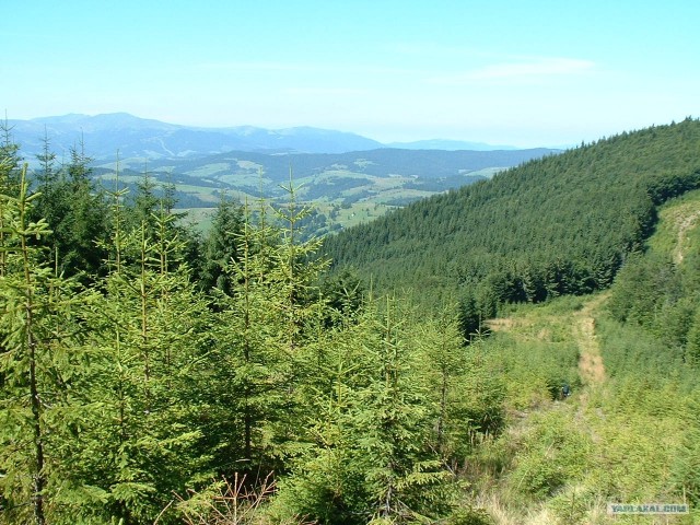 Карпаты, Закарпатье.