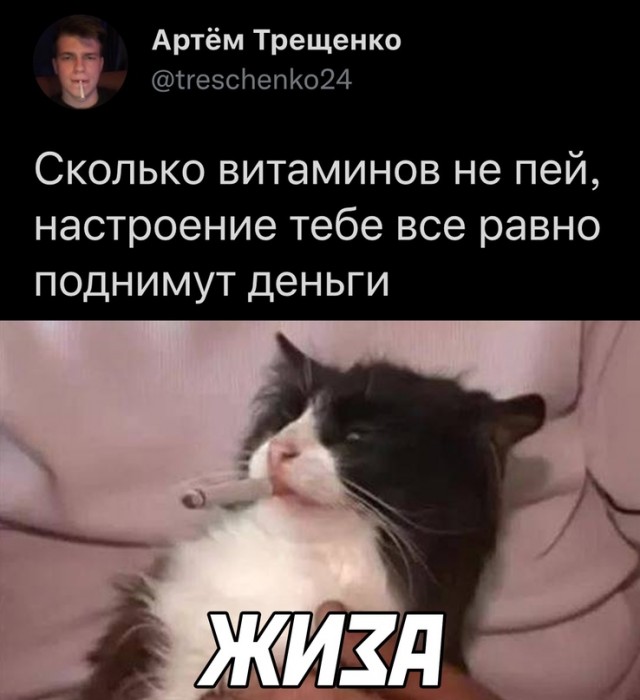 Весёлый полтишок 13.12