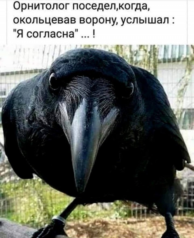 Пятница. Вечер. Картинки всякие #10