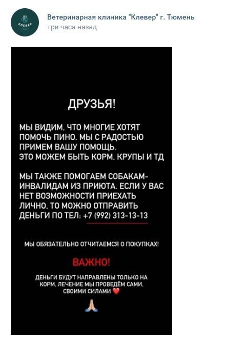 Жительница Тюмени, бросившая в ветклинике таксу-инвалида, позвонила и попыталась устроить разнос ветеринарам
