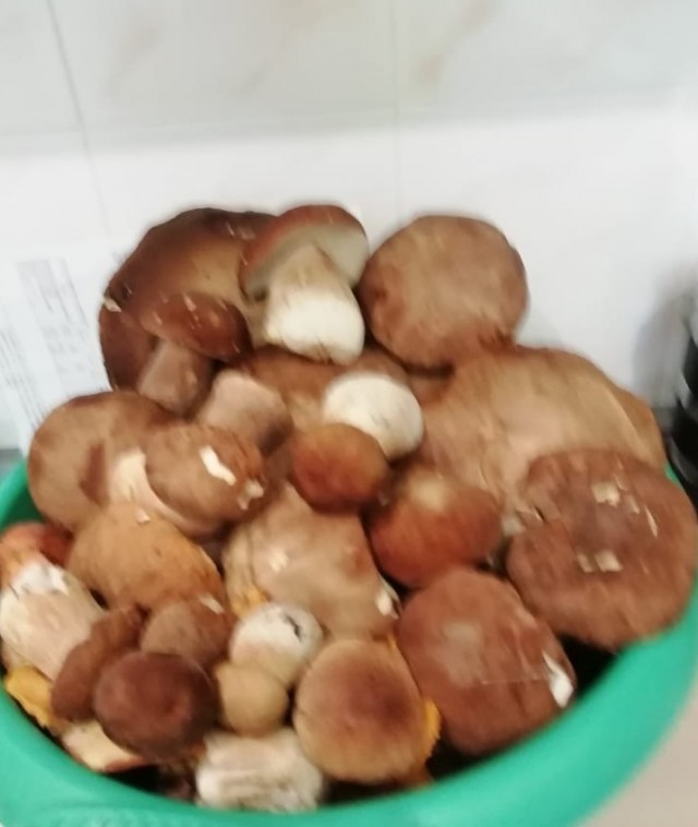«Мясо бедняков»