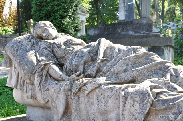 Славный город Львов