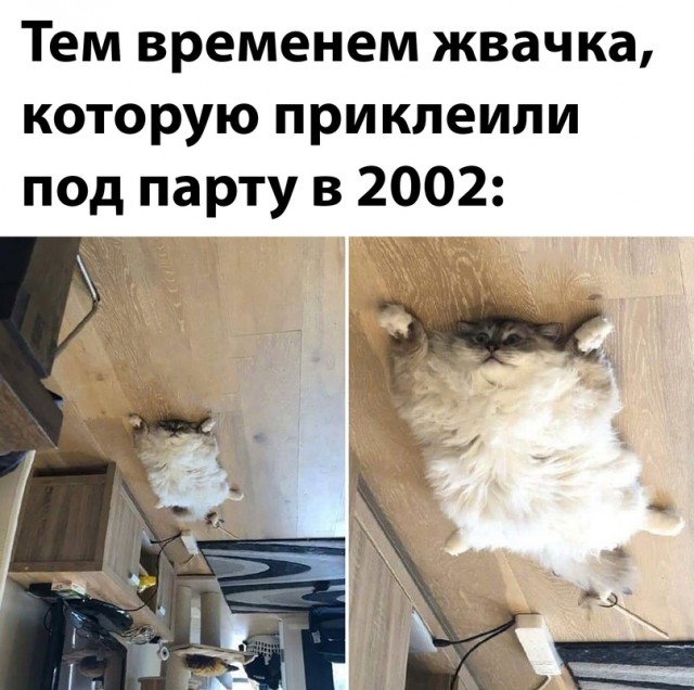 Картинки и мемы для настроения - 111