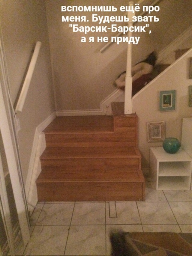Как хотите, а я спать пошел