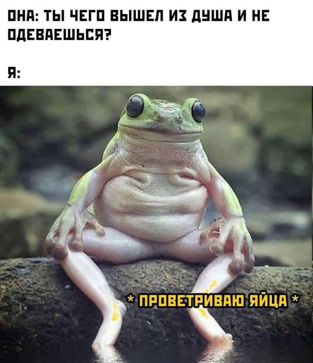 Немного картинок для взрослых 18.12.22
