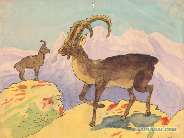 Рисунки семиклассницы М.Папкович 1940г.