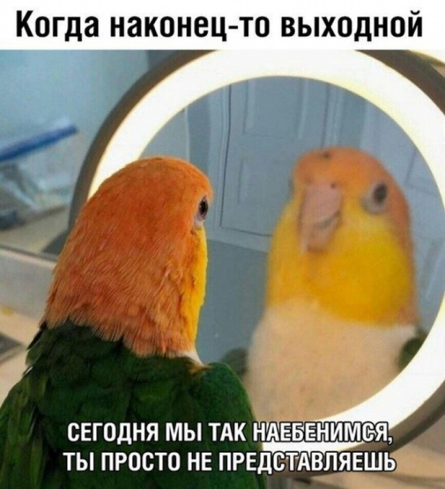 Клуб анонимных алкоголиков