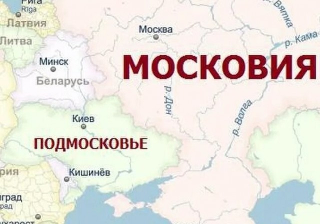 Медведев читает ЯП?