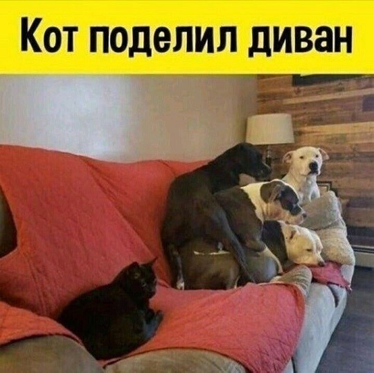 Всё по честному