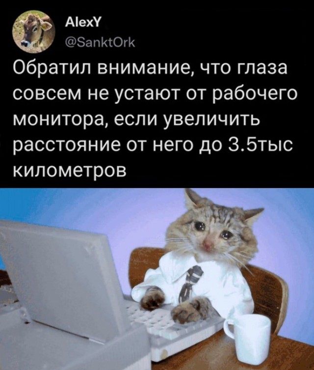 Картинки и мемы, всяко разно - 183