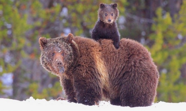 Подборка интересных и веселых картинок
