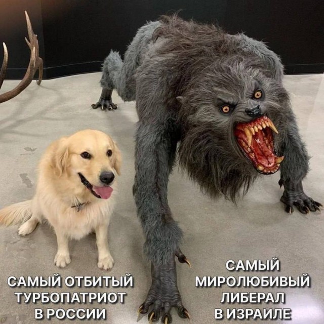Сотни иорданцев и ливанцев прямо сейчас идут к границе Израиля