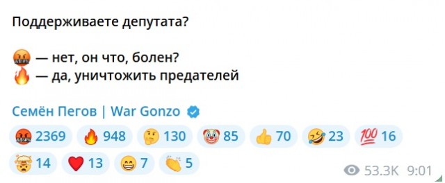 Речь депутата Гурулева