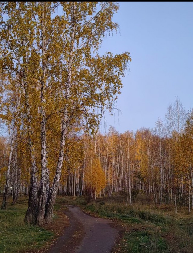 Красивые фото ЯПа