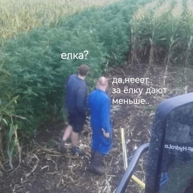 Весёлый бонус