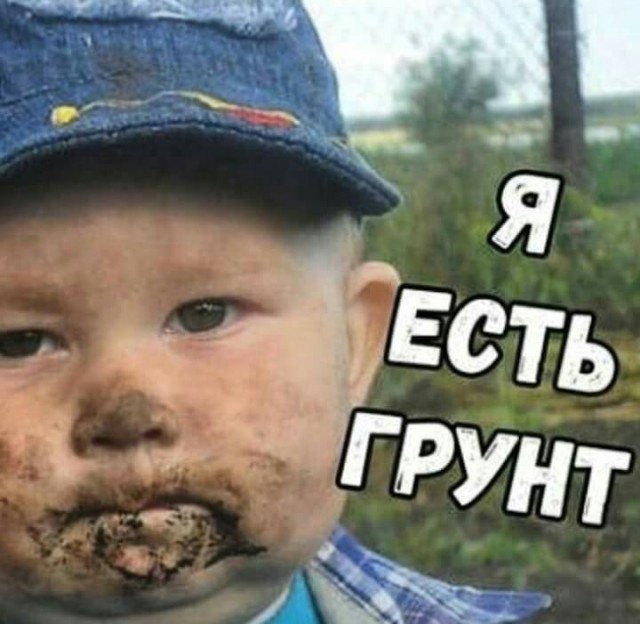 Как я стал г*вноедом или это какие то не правильные пчелы
