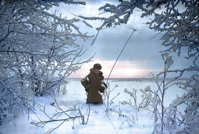 1941 год в 28 фотографиях