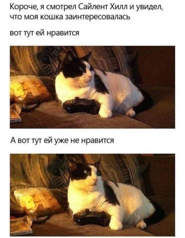 Старался без боянов