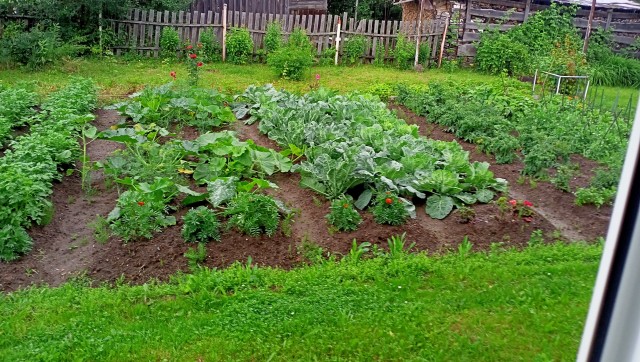 В Госдуме высказали мнение, что российские женщины стали чаще разводиться, наслушавшись инфоцыганской психологии: