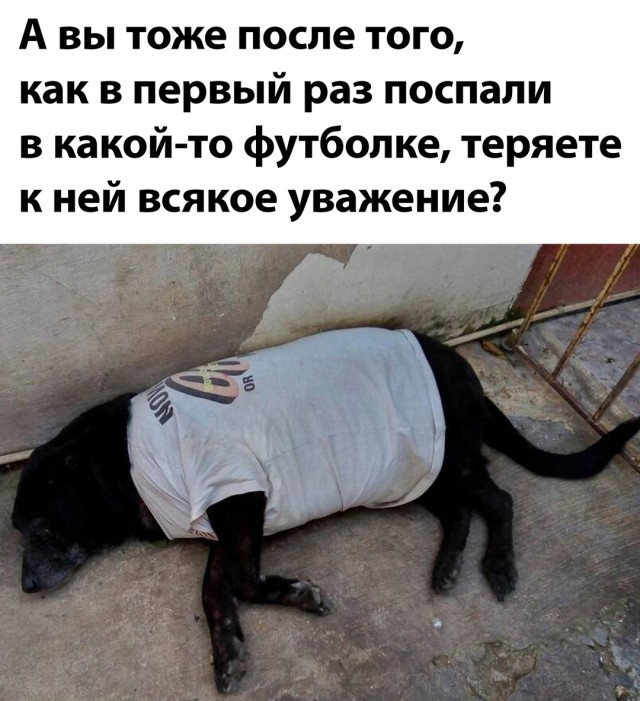 Весёлый полтишок 22.07 24