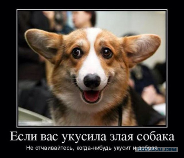 Ты кого нахрен послал?!
