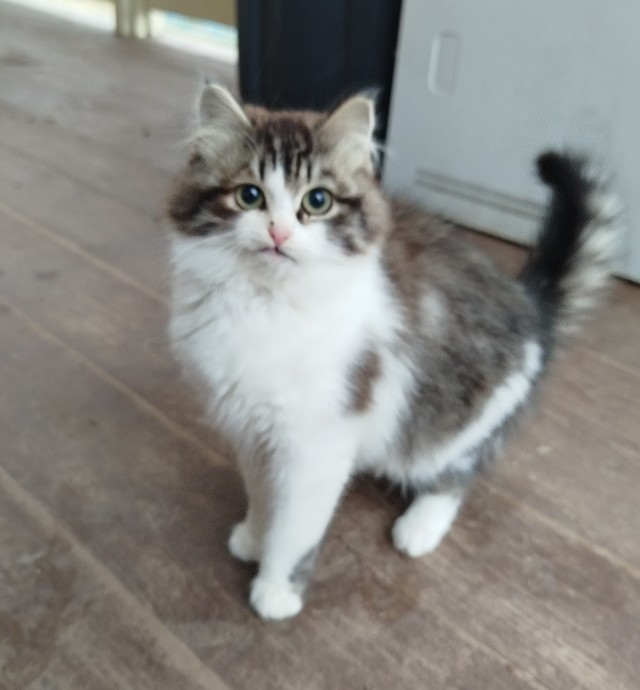 Косоглазый Смайлик