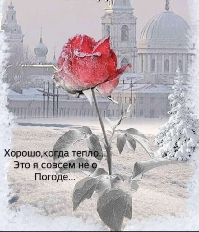 Прикольные и просто красивые картинки 02.05.2025