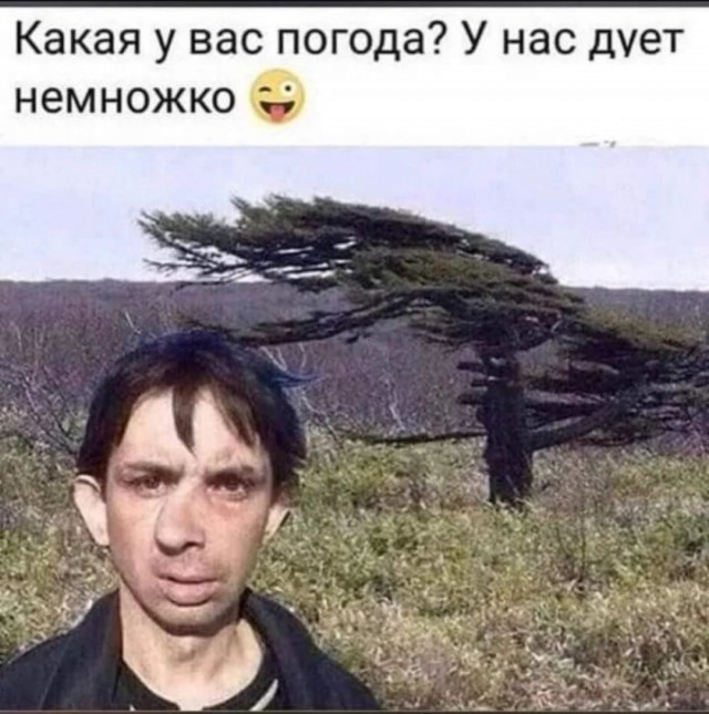 Веселое настроение в картинках (13.07.2025)