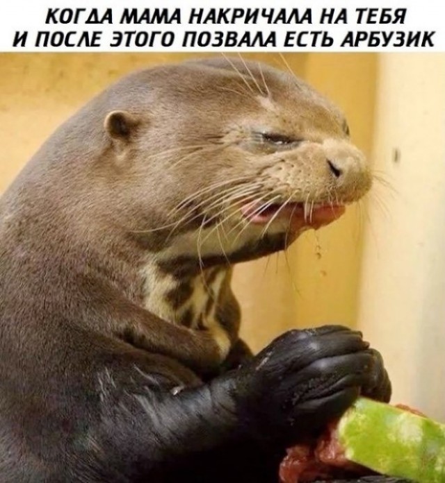 И учитывая современные реалии мама была таки права