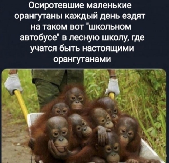Так себе картинки 05.08.25