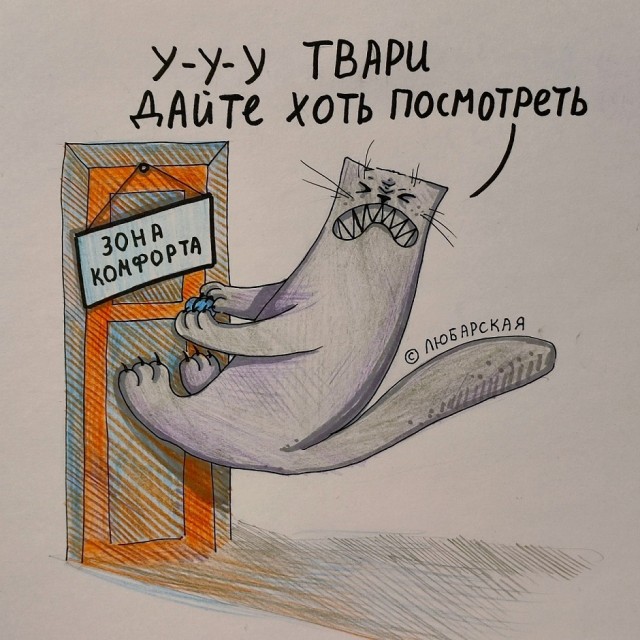 Так себе картинки 20.08.25