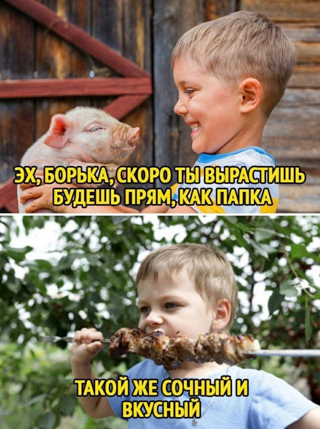 Веселые картинки в понедельник (25.08)