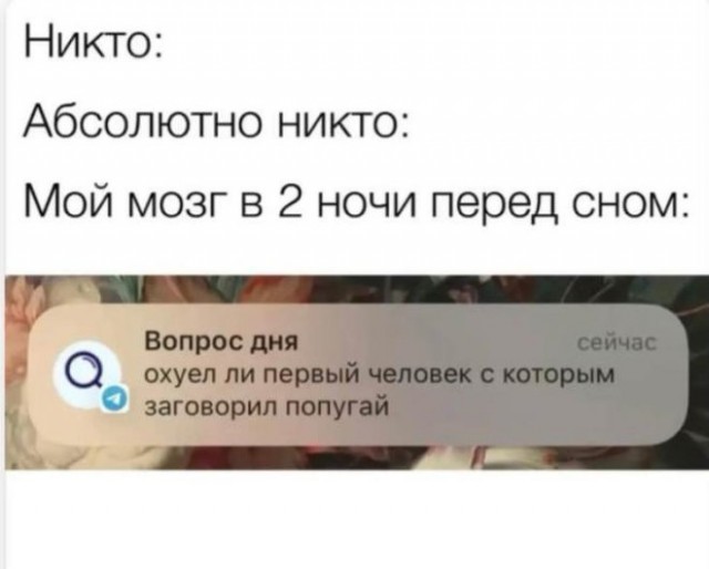 Так себе картинки 24.09.25