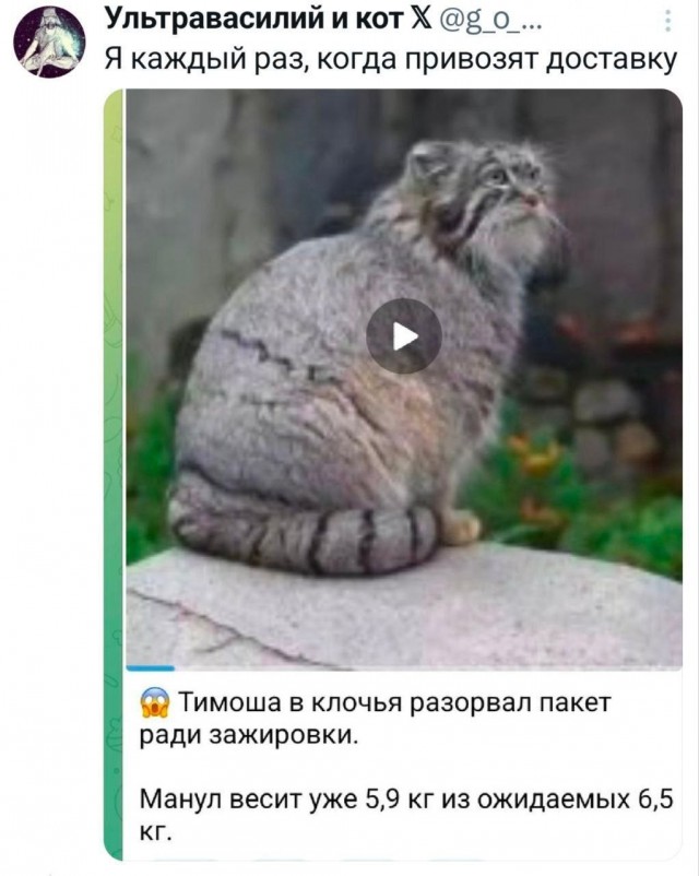 Куча мала 3