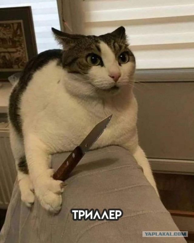 Несколько жанров кино