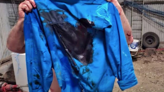 В Австралии кенгуру сначала напал на собаку,а потом жутко избил ее хозяина.