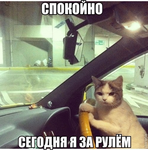 Чудо на дороге!