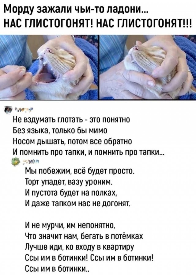 Картинки для деградации 160 (разной степени свежести)