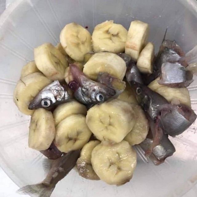 Картинки для деградации 173 (разной степени свежести)