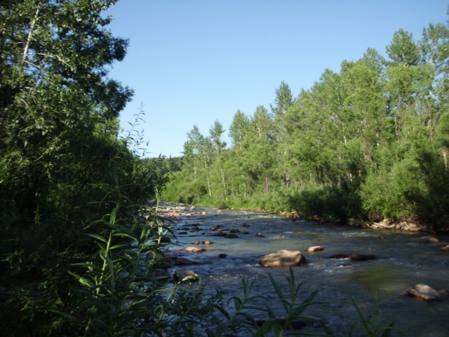 Тимбилдин IT службы при поддержке юр. и фин. служб