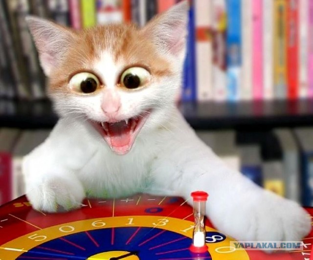 Уделите нам внимание