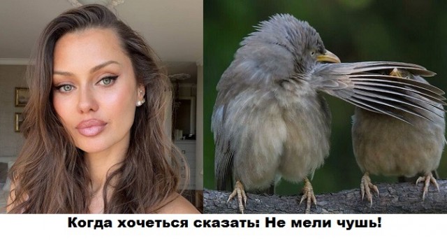 Веселое настроение в картинках 28.07.26