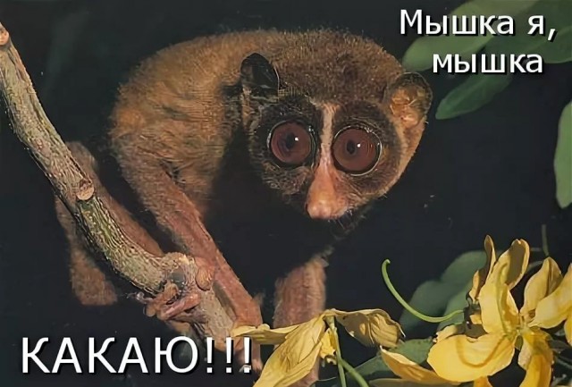 Общедомовое собрание жильцов