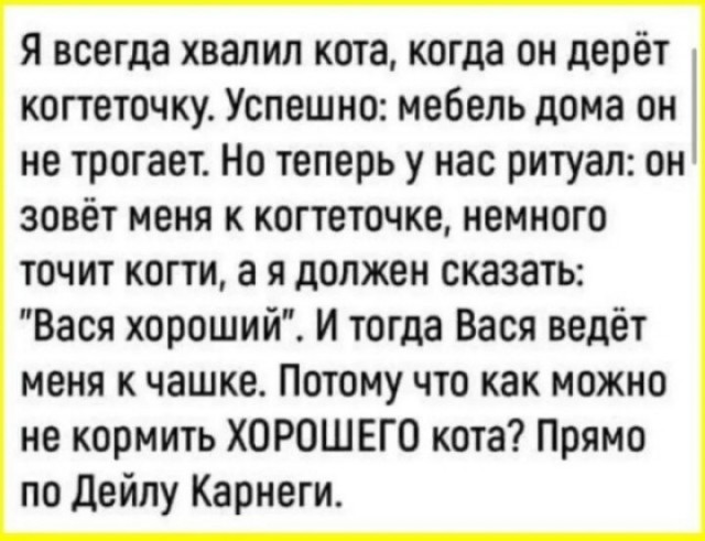 Мемы 30 штук к понедельнику