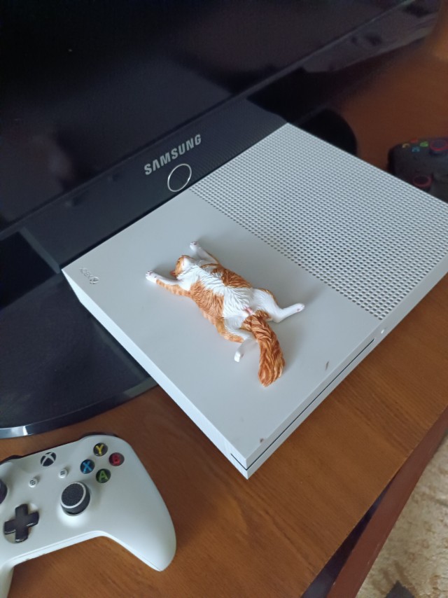 До прихода жены с работы осталось...