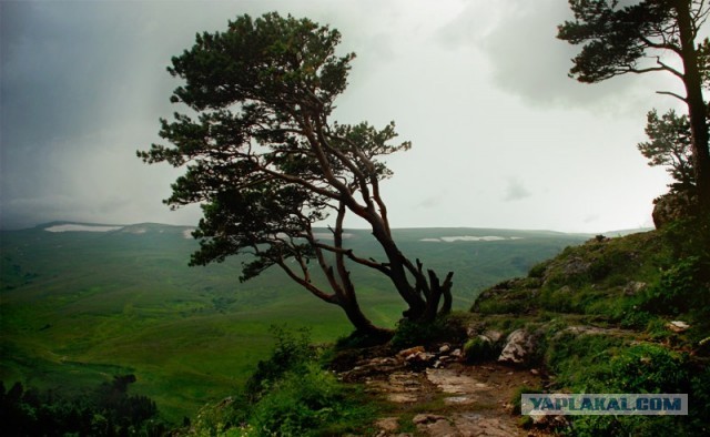 Фотопутешествие в Адыгею