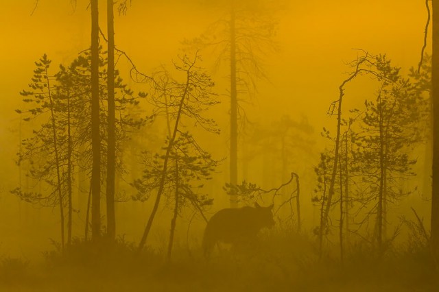Деревенская Америка