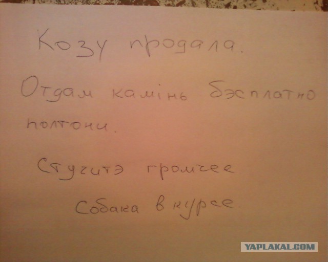 Продается коза