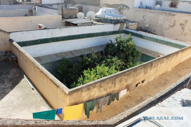 Новогодняя ночь в пустыне Сахара